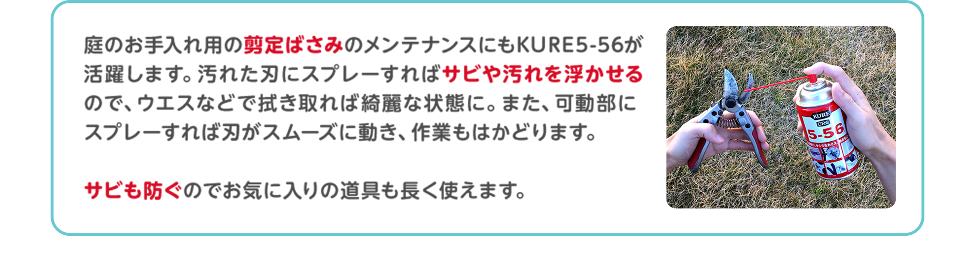 庭のお手入れ用の剪定ばさみのメンテナンスにもKURE5-56が活躍します。汚れた刃にスプレーすればサビや汚れを浮かせるので、ウエスなどで拭き取れば綺麗な状態に。また、可動部にスプレーすれば刃がスムーズに動き、作業もはかどります。サビも防ぐのでお気に入りの道具も長く使えます。